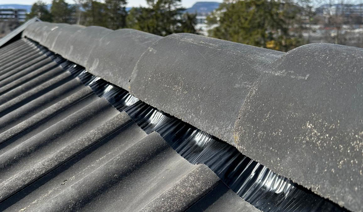 Nærbilde av takstein og mønebeslag på borettslagstak